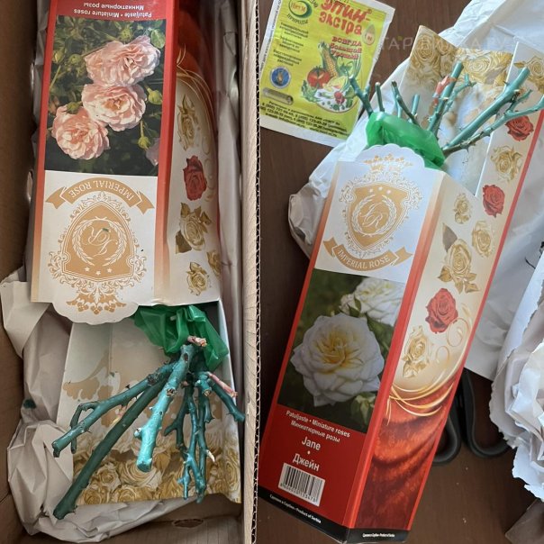 превью изображения отзыва