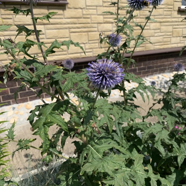 превью изображения отзыва