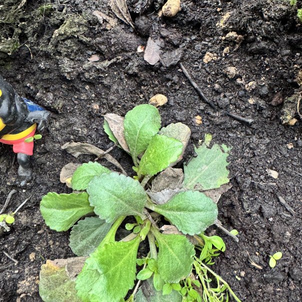 превью изображения отзыва