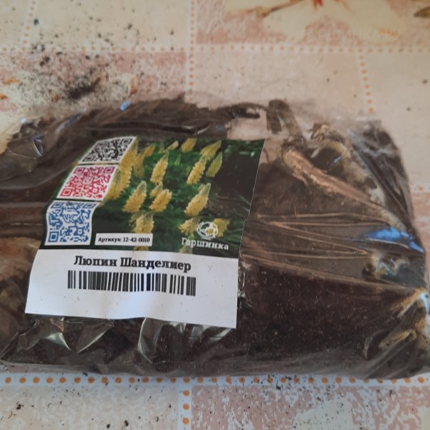 превью изображения отзыва