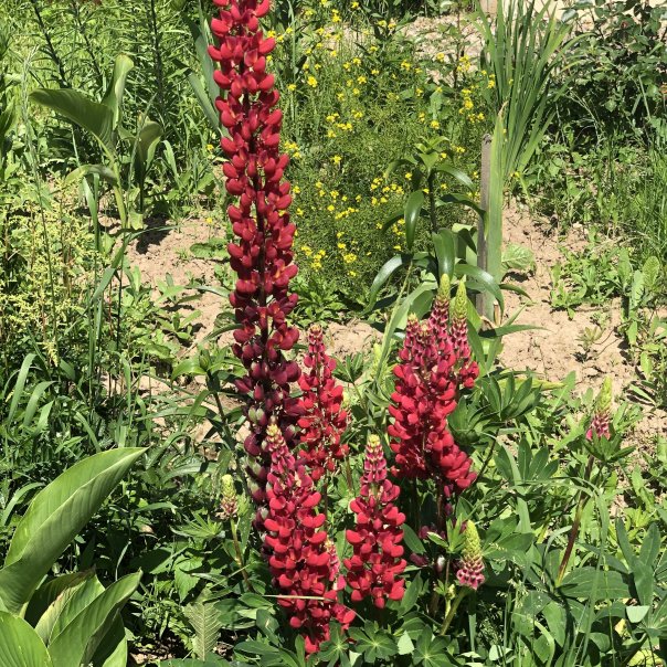 превью изображения отзыва