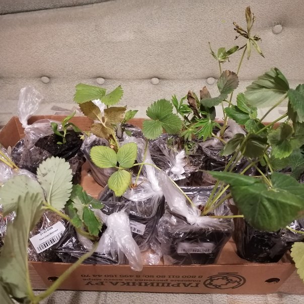 превью изображения отзыва