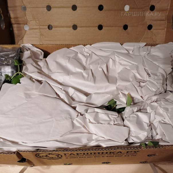 превью изображения отзыва