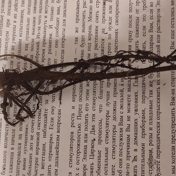 превью изображения отзыва