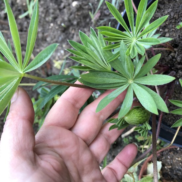 превью изображения отзыва