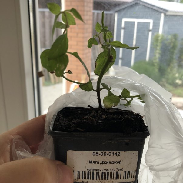 превью изображения отзыва