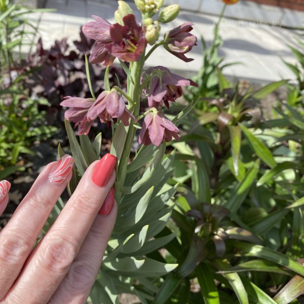 превью изображения отзыва