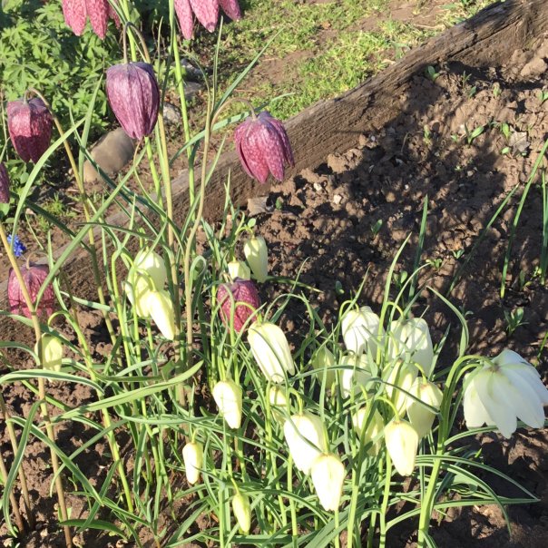 превью изображения отзыва