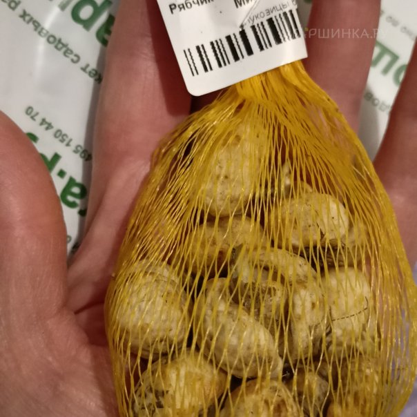 превью изображения отзыва