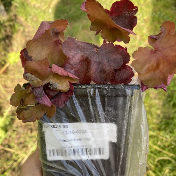 превью изображения отзыва