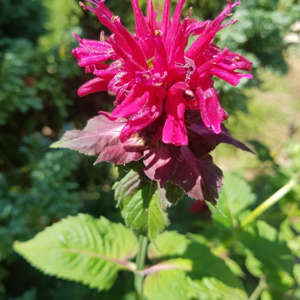 превью изображения отзыва