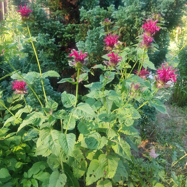 превью изображения отзыва