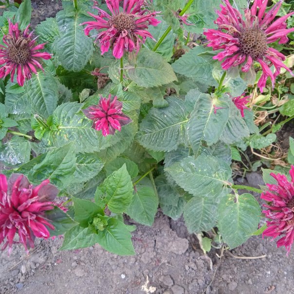 превью изображения отзыва