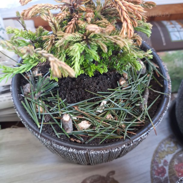 превью изображения отзыва