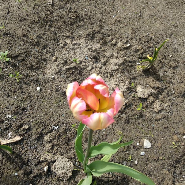 превью изображения отзыва