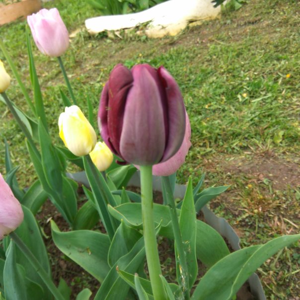 превью изображения отзыва