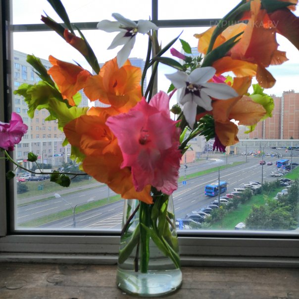 превью изображения отзыва