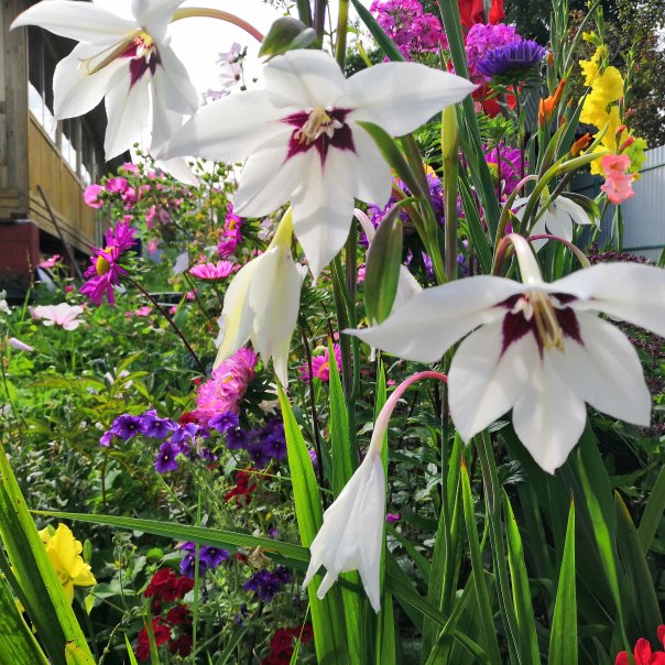 превью изображения отзыва