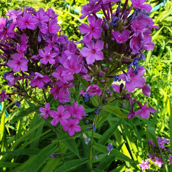 превью изображения отзыва