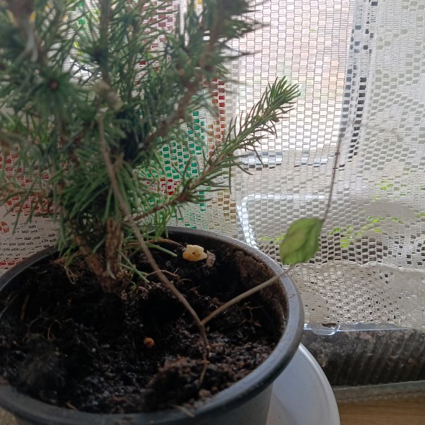 превью изображения отзыва