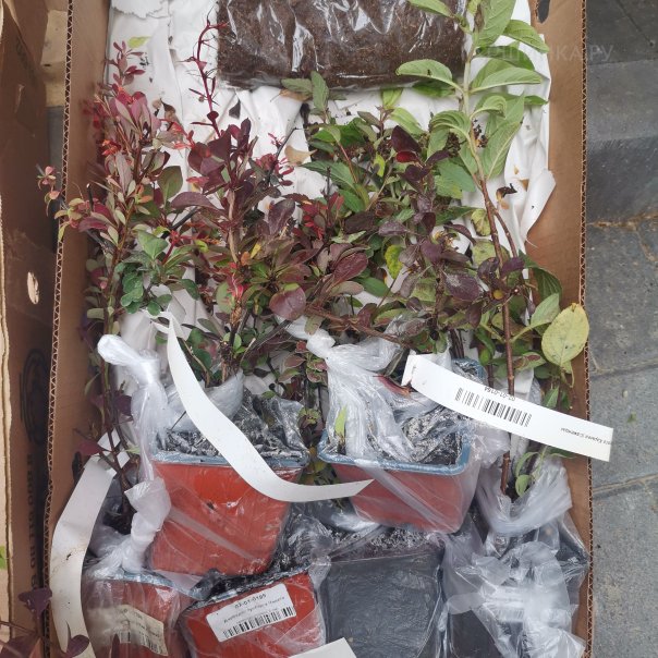 превью изображения отзыва