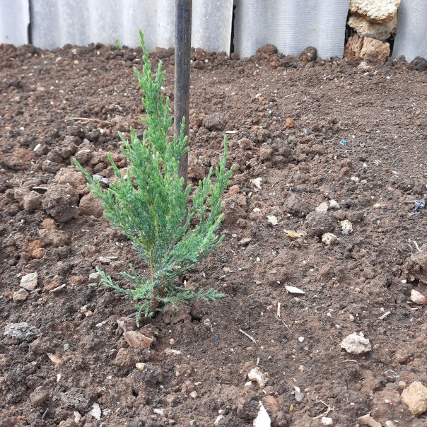 превью изображения отзыва