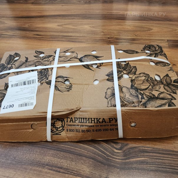 превью изображения отзыва