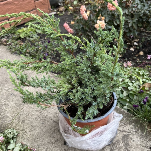 превью изображения отзыва