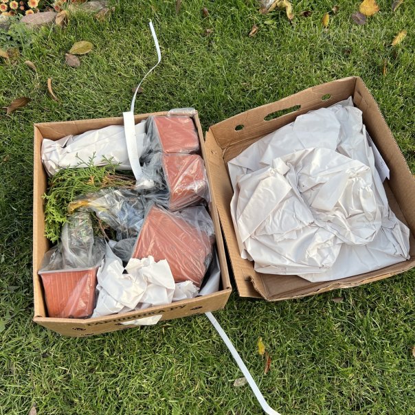 превью изображения отзыва