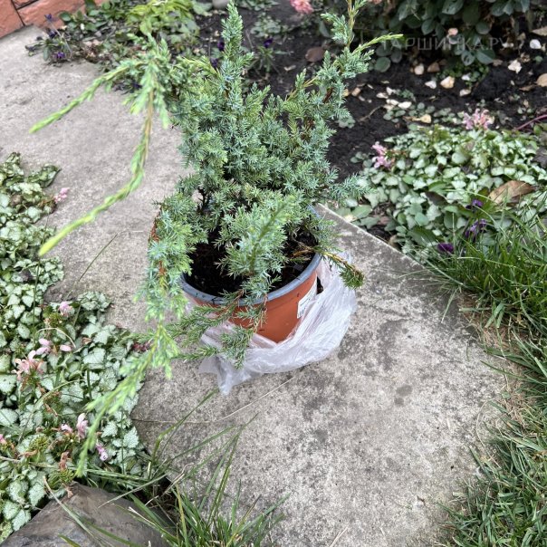 превью изображения отзыва