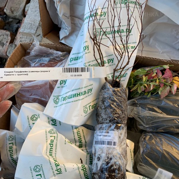 превью изображения отзыва