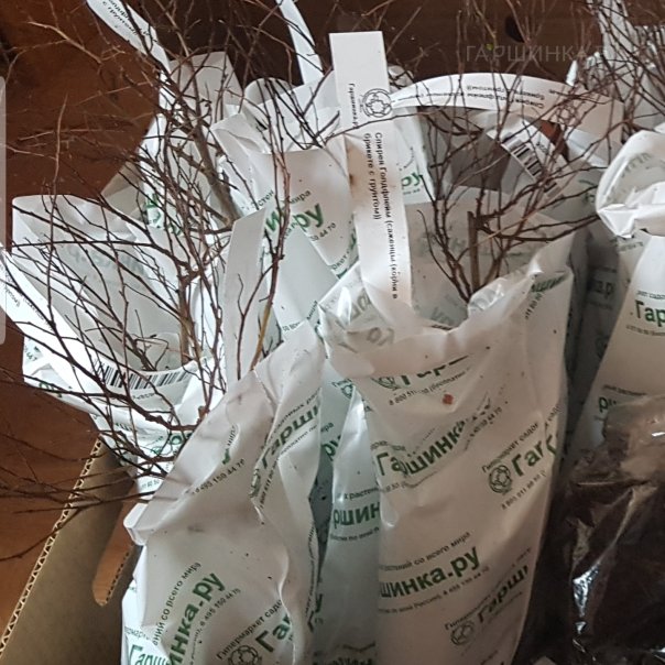 превью изображения отзыва