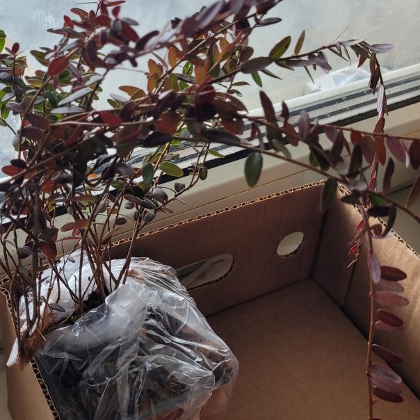 превью изображения отзыва