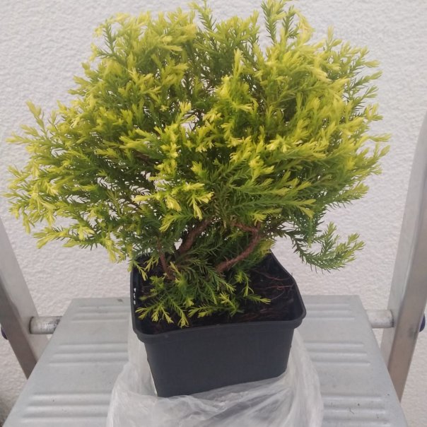 превью изображения отзыва