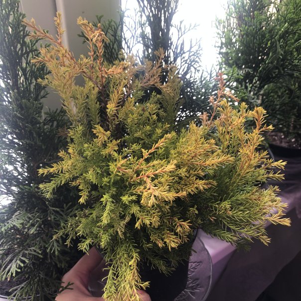 превью изображения отзыва