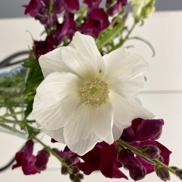 превью изображения отзыва