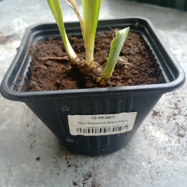 превью изображения отзыва