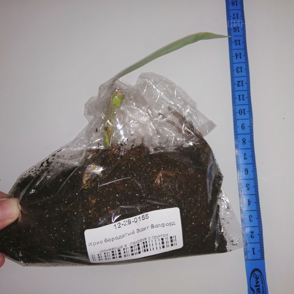 превью изображения отзыва