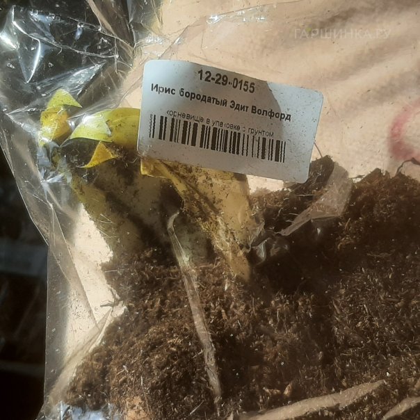 превью изображения отзыва