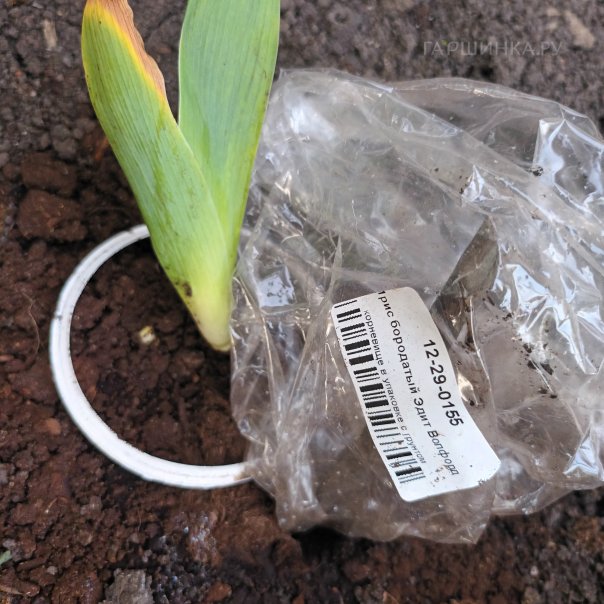 превью изображения отзыва