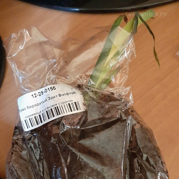 превью изображения отзыва