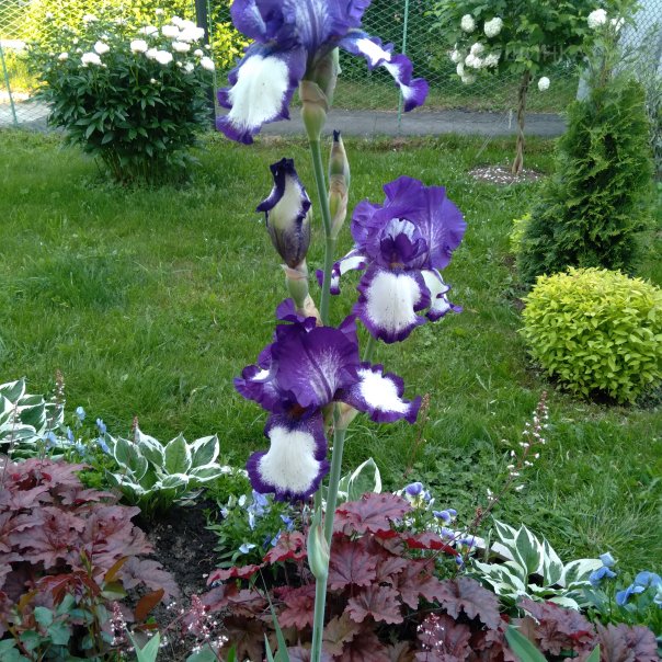 превью изображения отзыва