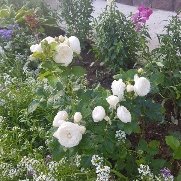 превью изображения отзыва