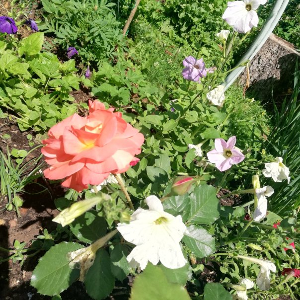 превью изображения отзыва