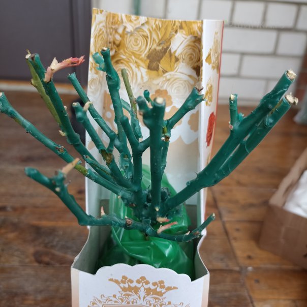 превью изображения отзыва