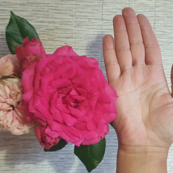 превью изображения отзыва