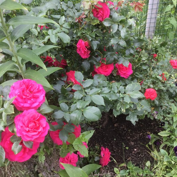 превью изображения отзыва