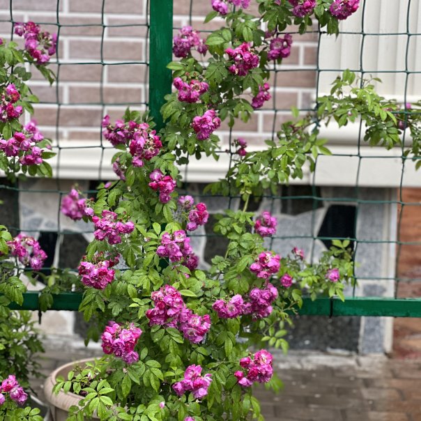 превью изображения отзыва