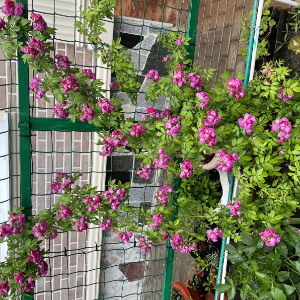 превью изображения отзыва