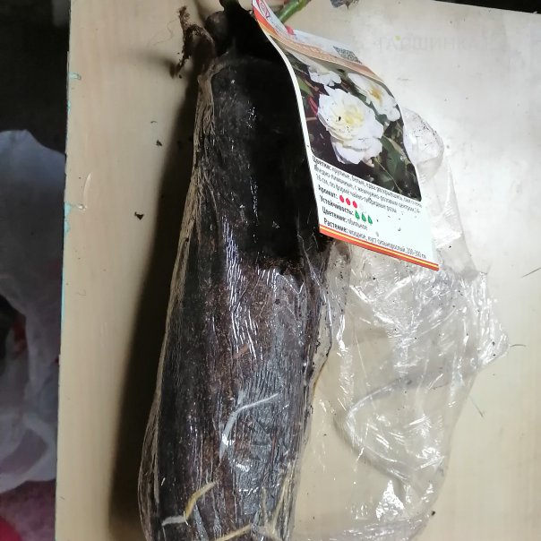 превью изображения отзыва